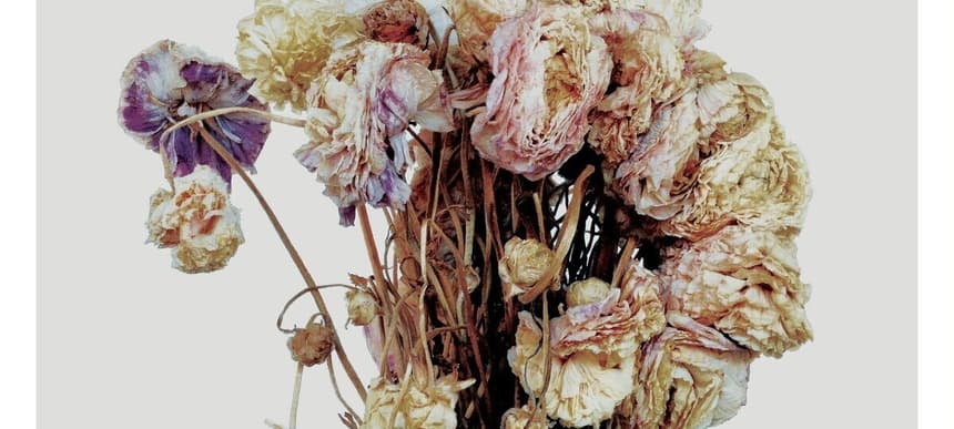 Sleater Kinney No Cities To Love Cover Art