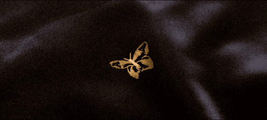 The Avalanches gold butterfly