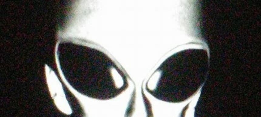 Volruptus