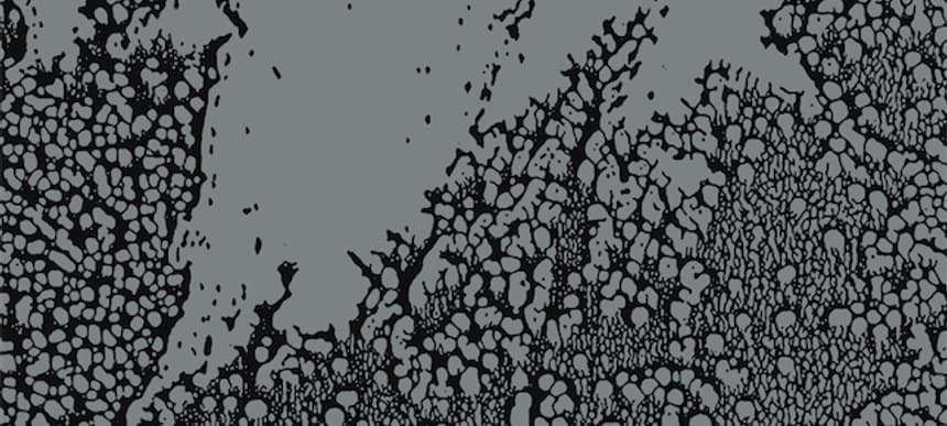 Walls Urals Album Art