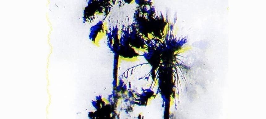 Circuit rider