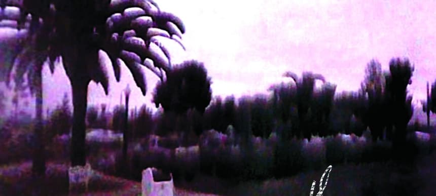 Colemgn artwork highres