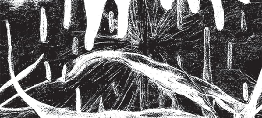 Fis preperations pakshot lo