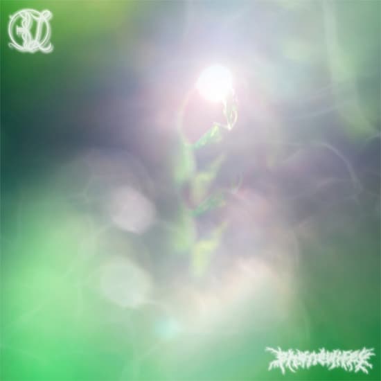 377671a2 c297 43e4 b971 ed90bcec7806 30e07b1b 73cb 4b71 a07a 6eeb961de5af