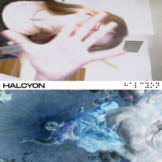 HALCYON ART FINAL Nelson Zavarella