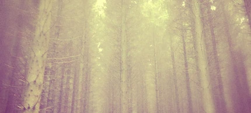 Silenceofthreeparts