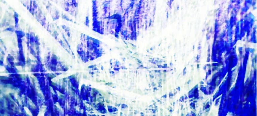 Then falls apart decomposed2