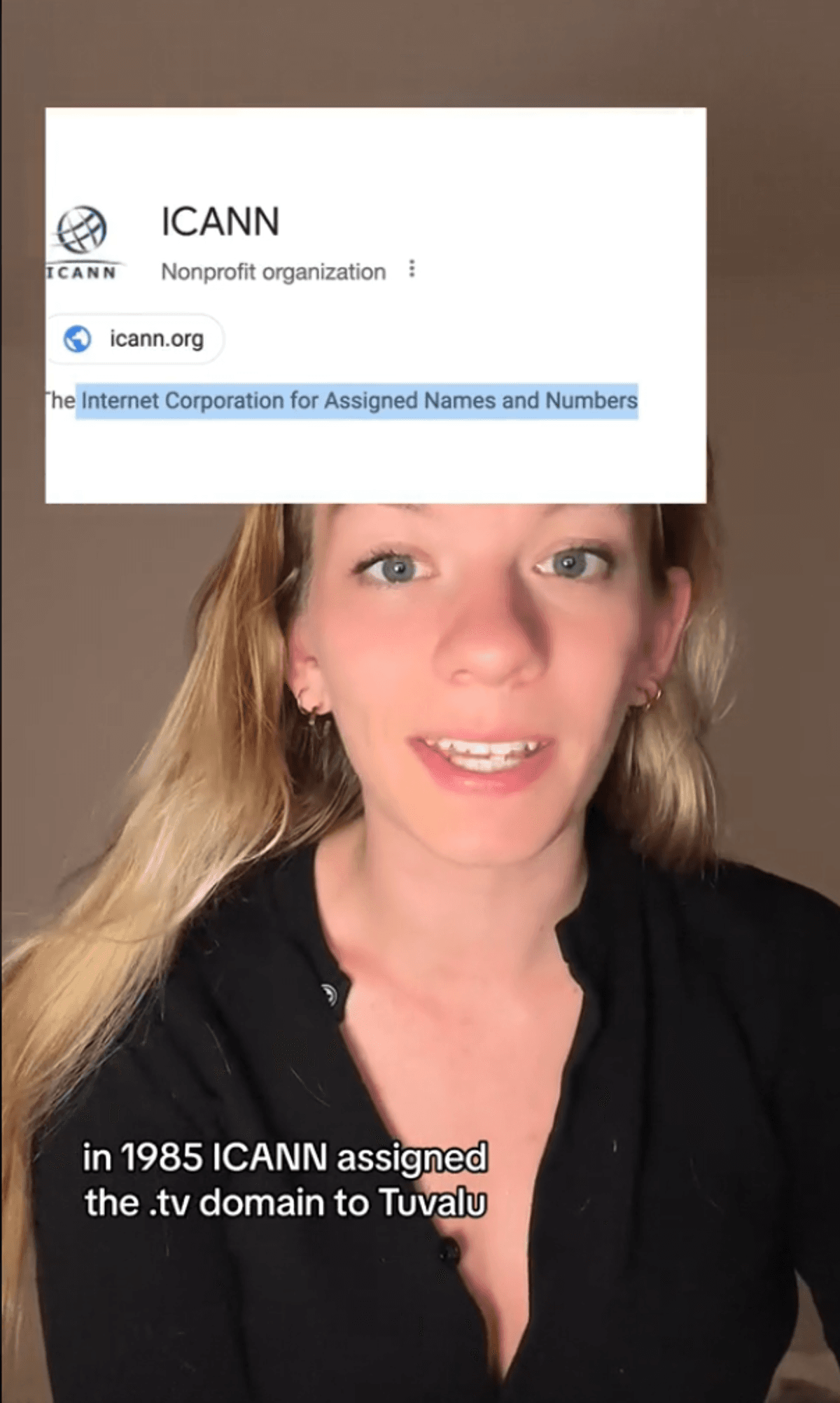 Screenshot of depths of wikipedia video with information about ICANN visible.