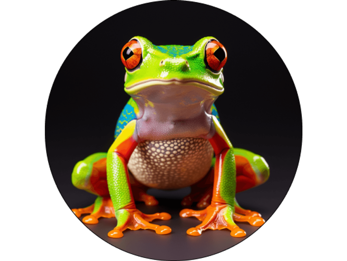 Green and red frog on a black background.