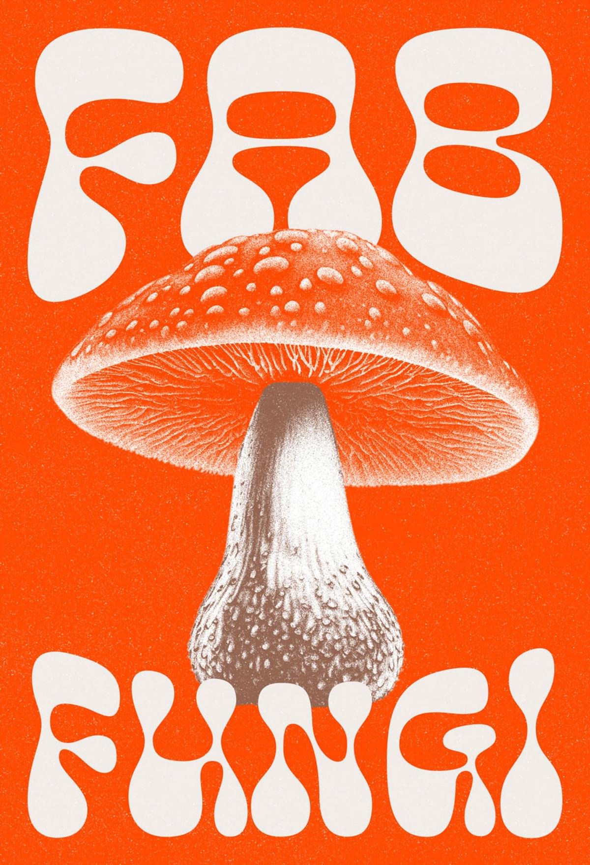 Fab Fungi., coming soon