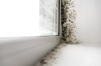 Damp Is A Common Problem - Let Us Help You Solve It Fast