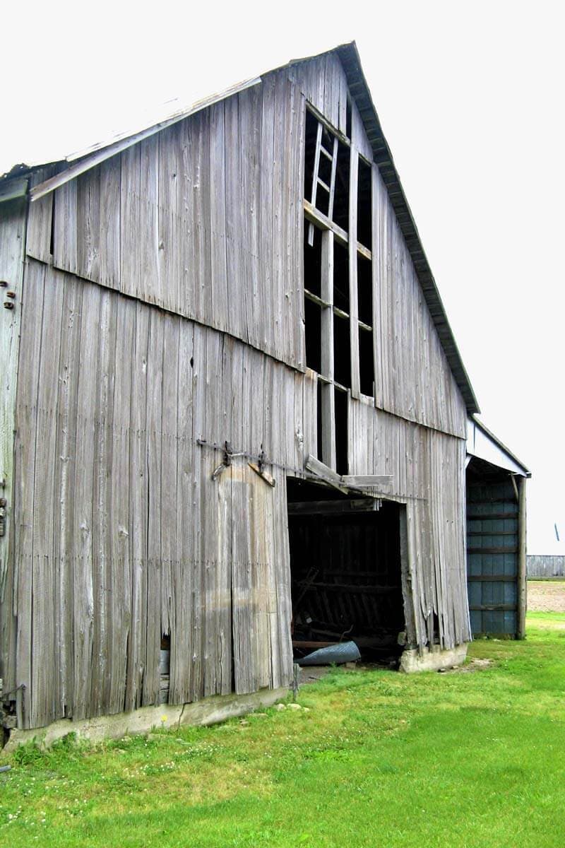 Cypress wood barn under review for reclaiming the wood to use for flooring.