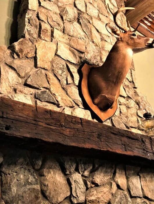 Hand hewn Beech Mantel with natural oil finish with deer mounted above.