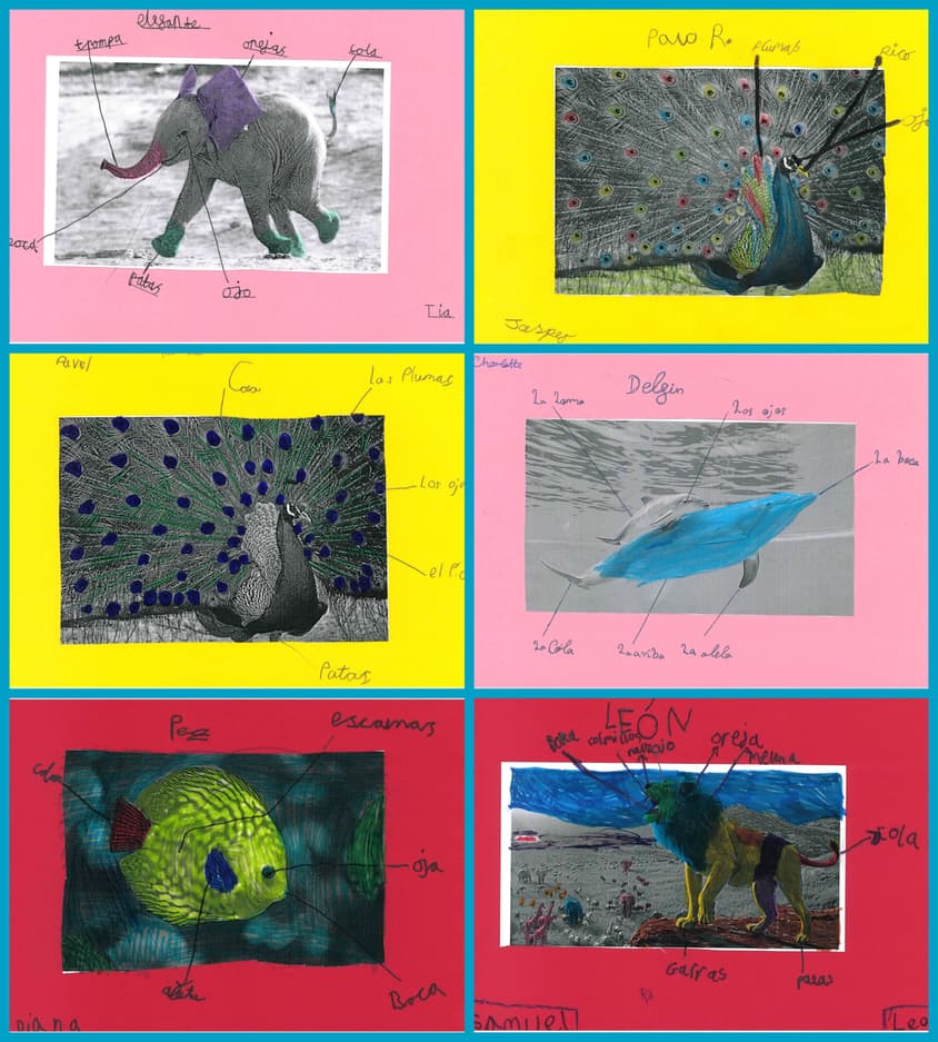 Be Funky collage 2022 04 08 T111811 562