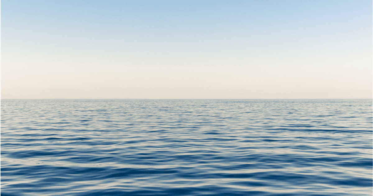 3 Reasons Why Fish Oil Alternatives Are Just As Effective - Vegetology