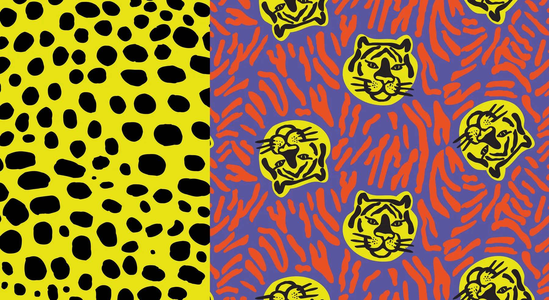 ZSL CS COLLECTION 01 new2