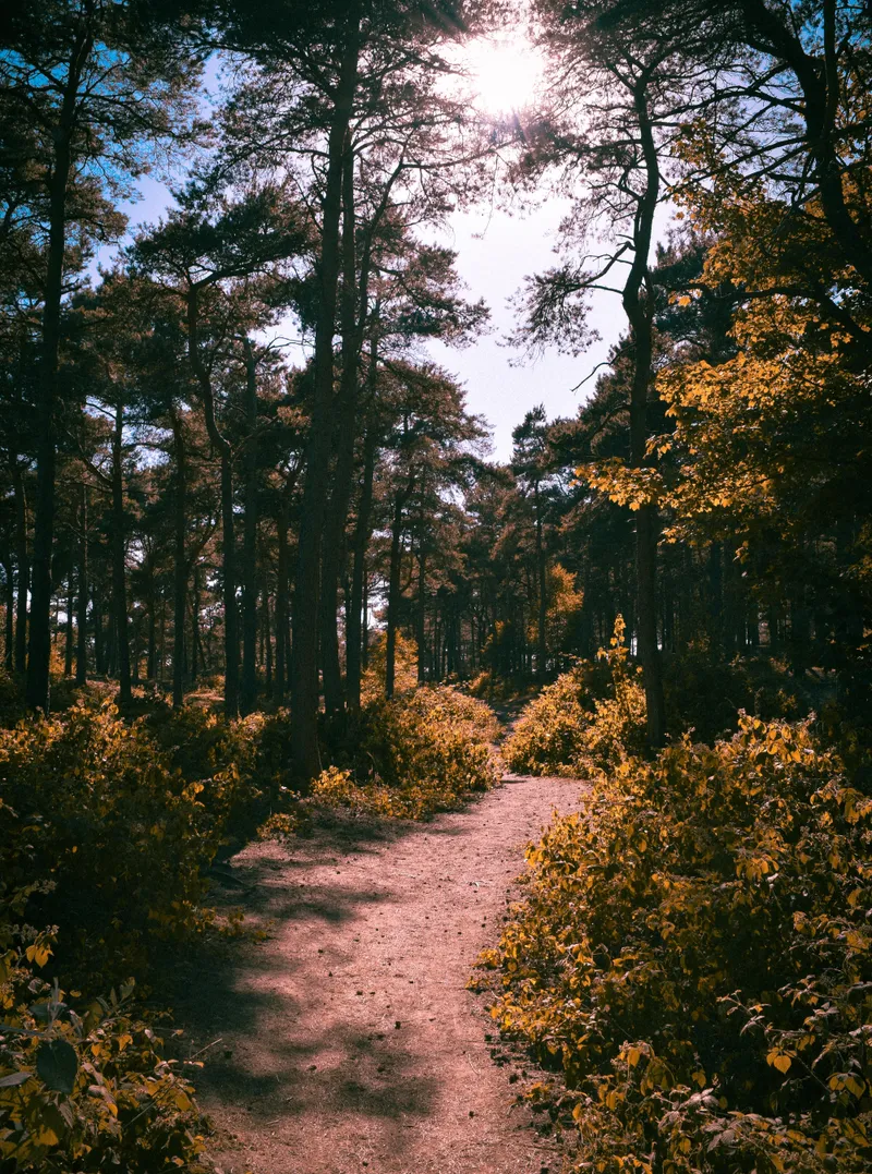 Skew for National Trust, outdoor, nature, photo