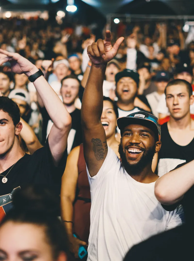 Skew process, fans cheering at a concert