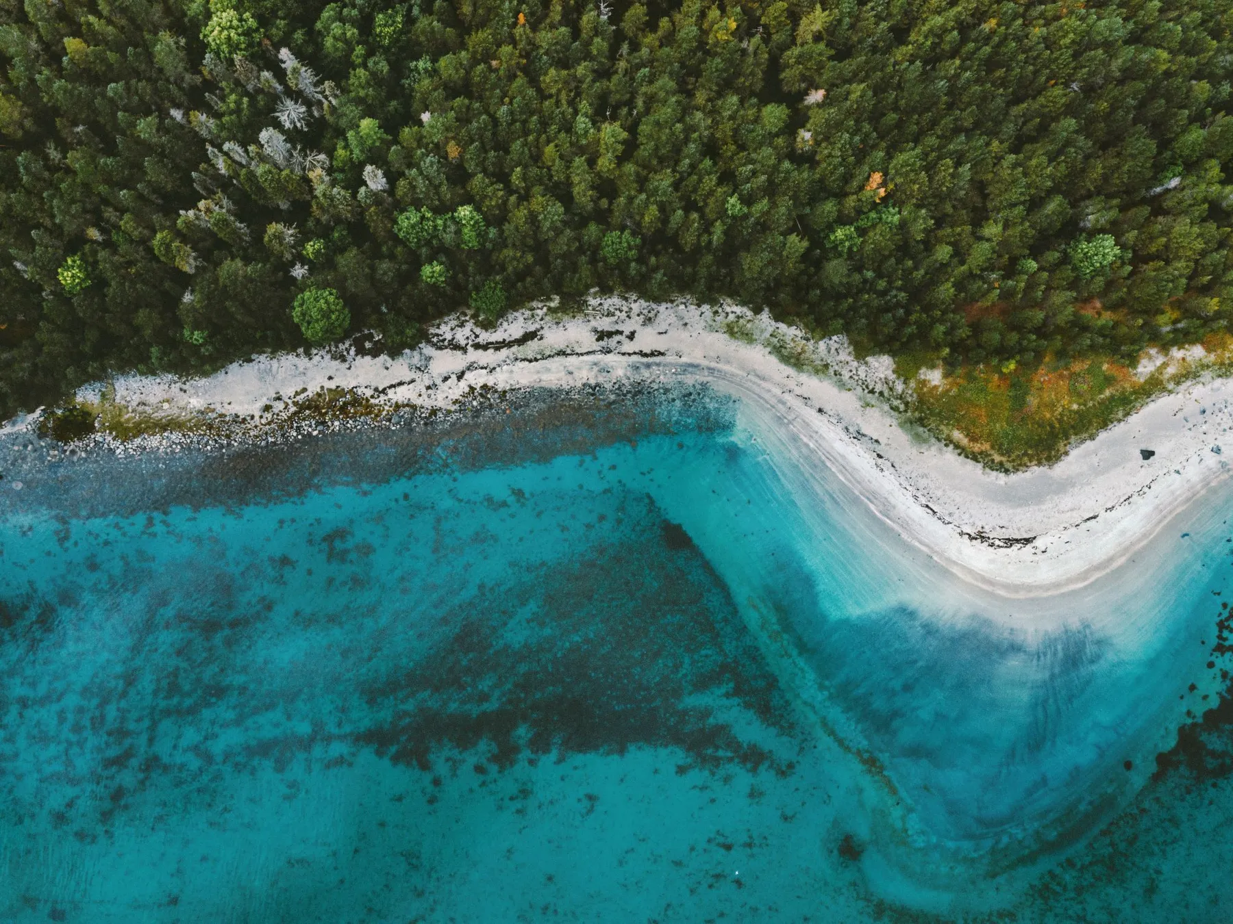 Kent | Reducing Our Environmental Impact