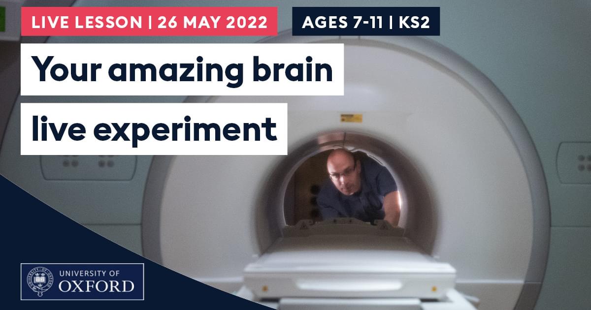 your amazing brain live experiment encounter edu