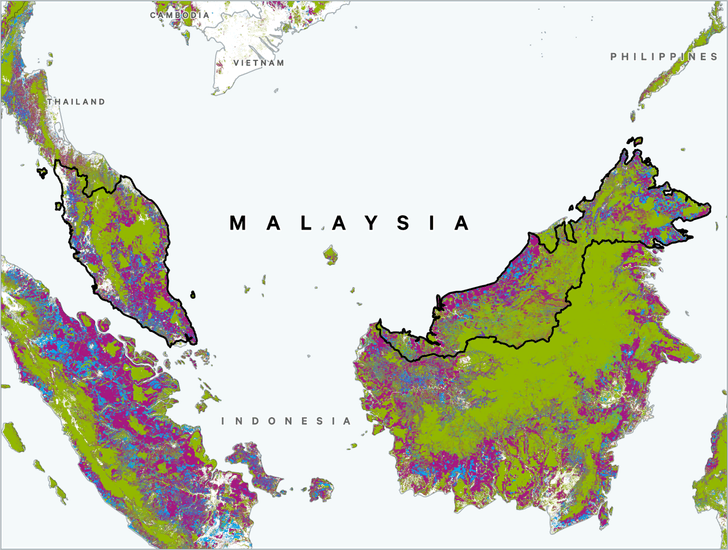 CH forest loss map