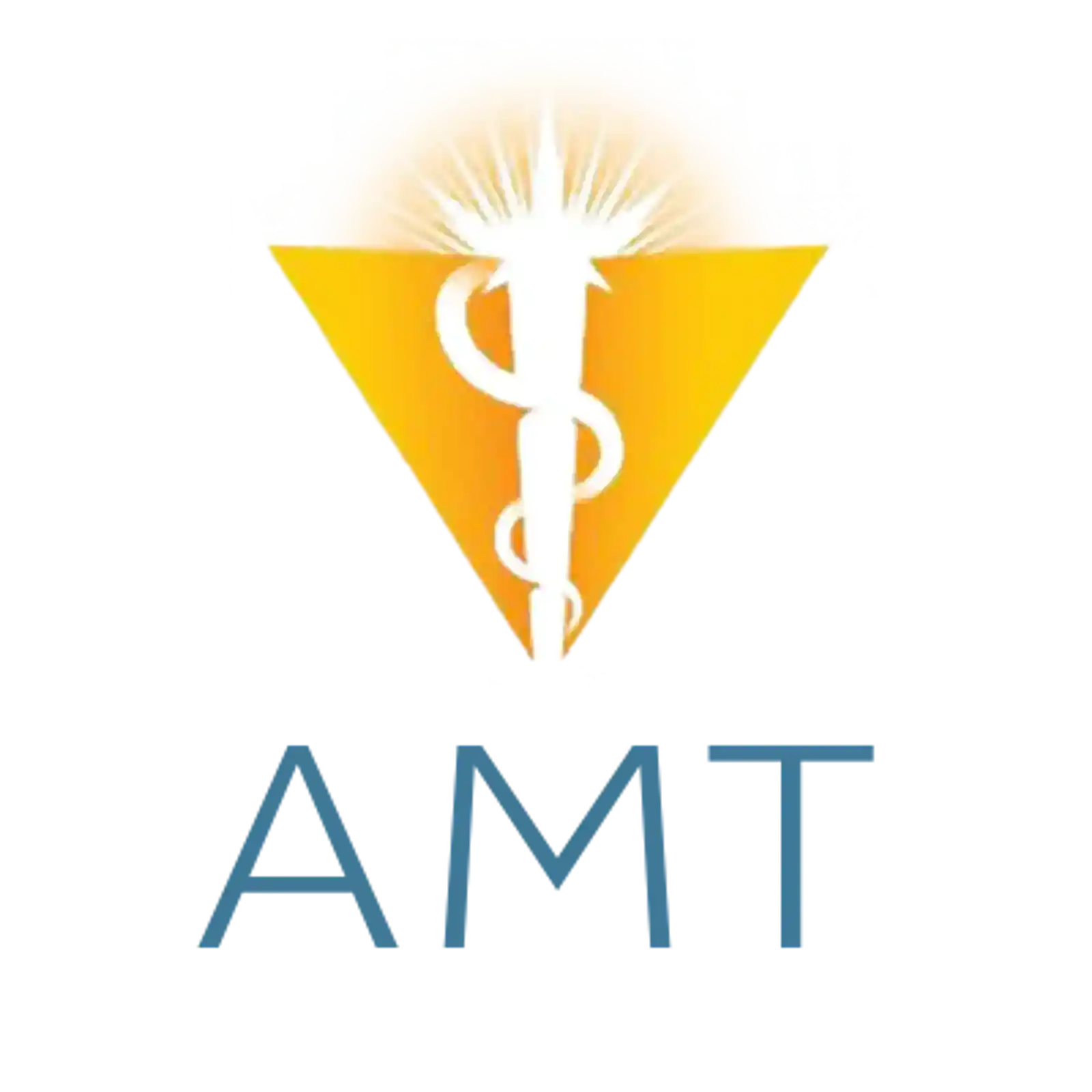 Amt verticle logo