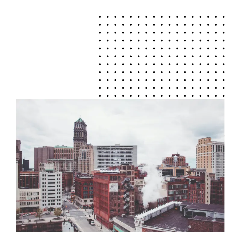 Michigan phone number