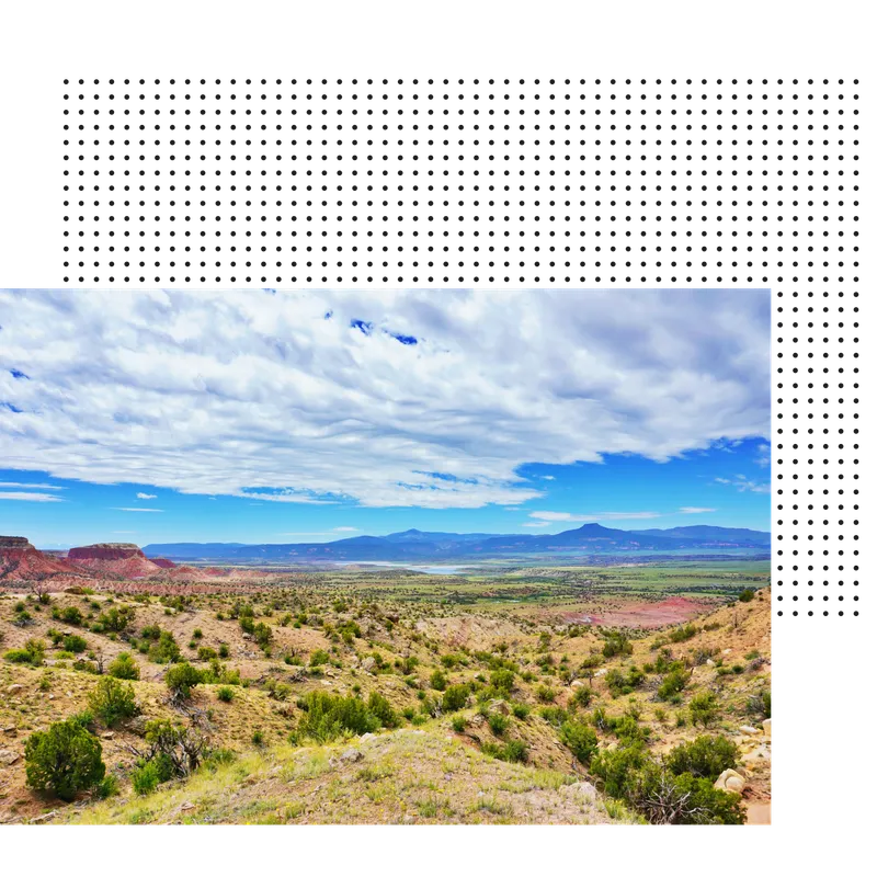 New Mexico