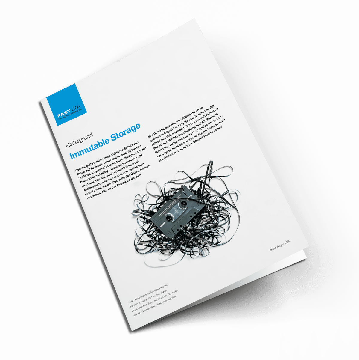 De 2022 07 WP Immutable Storage Mockup | FAST LTA