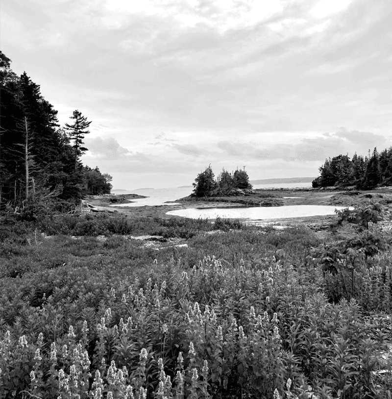 A black and white photo of Little Whaleboat Island, a series of islands and ledges in Casco Bay.