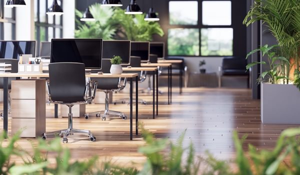 I Stock 2159979904 crop 1200 x 600