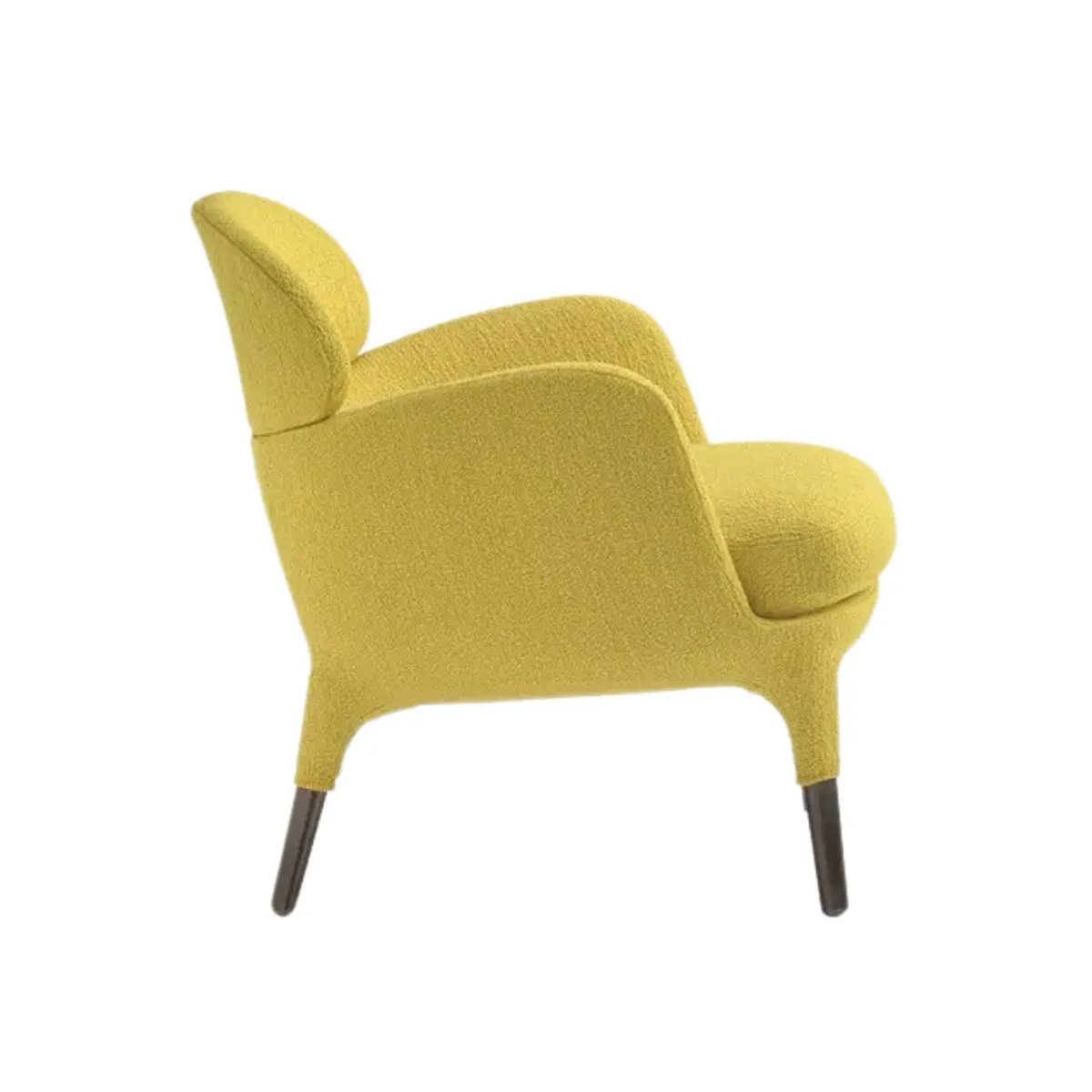 Ester lounge chair 2