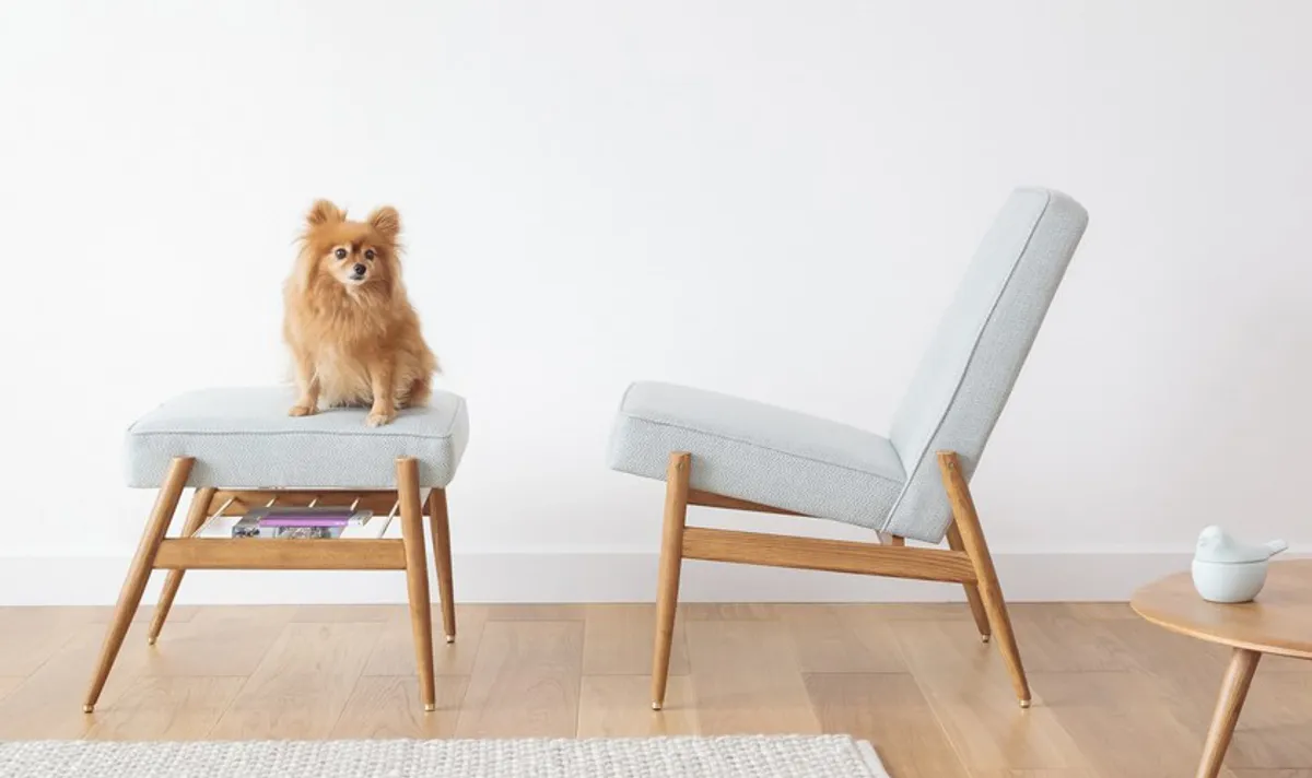 Fox Club Chair Pet Pooch Inside Out Contracts