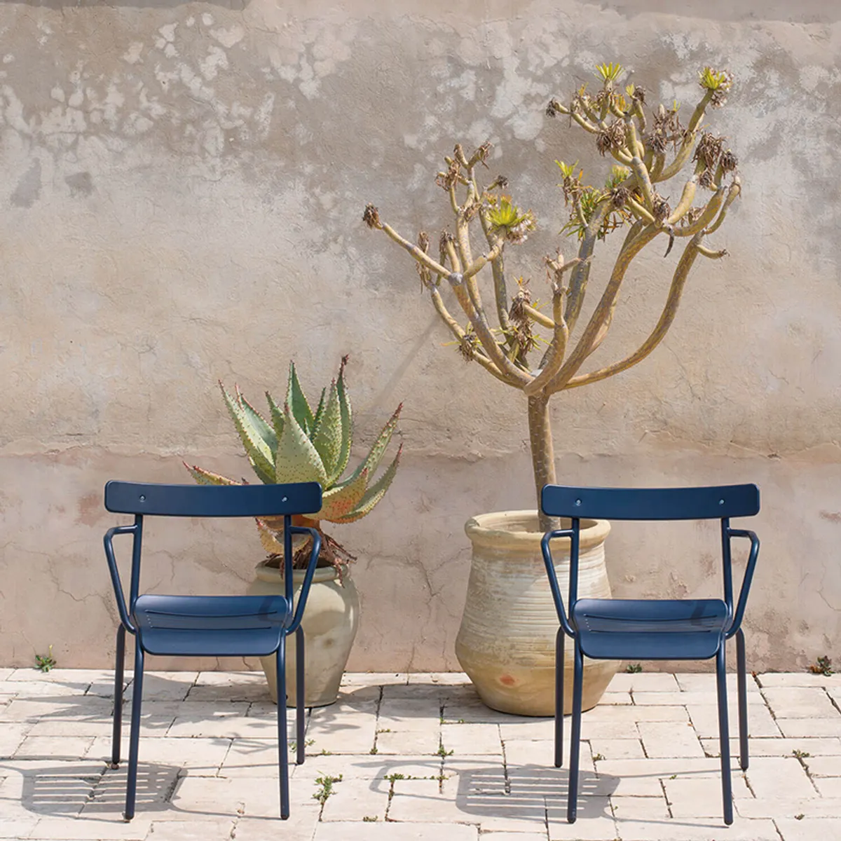 Milky Armchairs In Blue With Terracotta Wall Insideoutcontracts