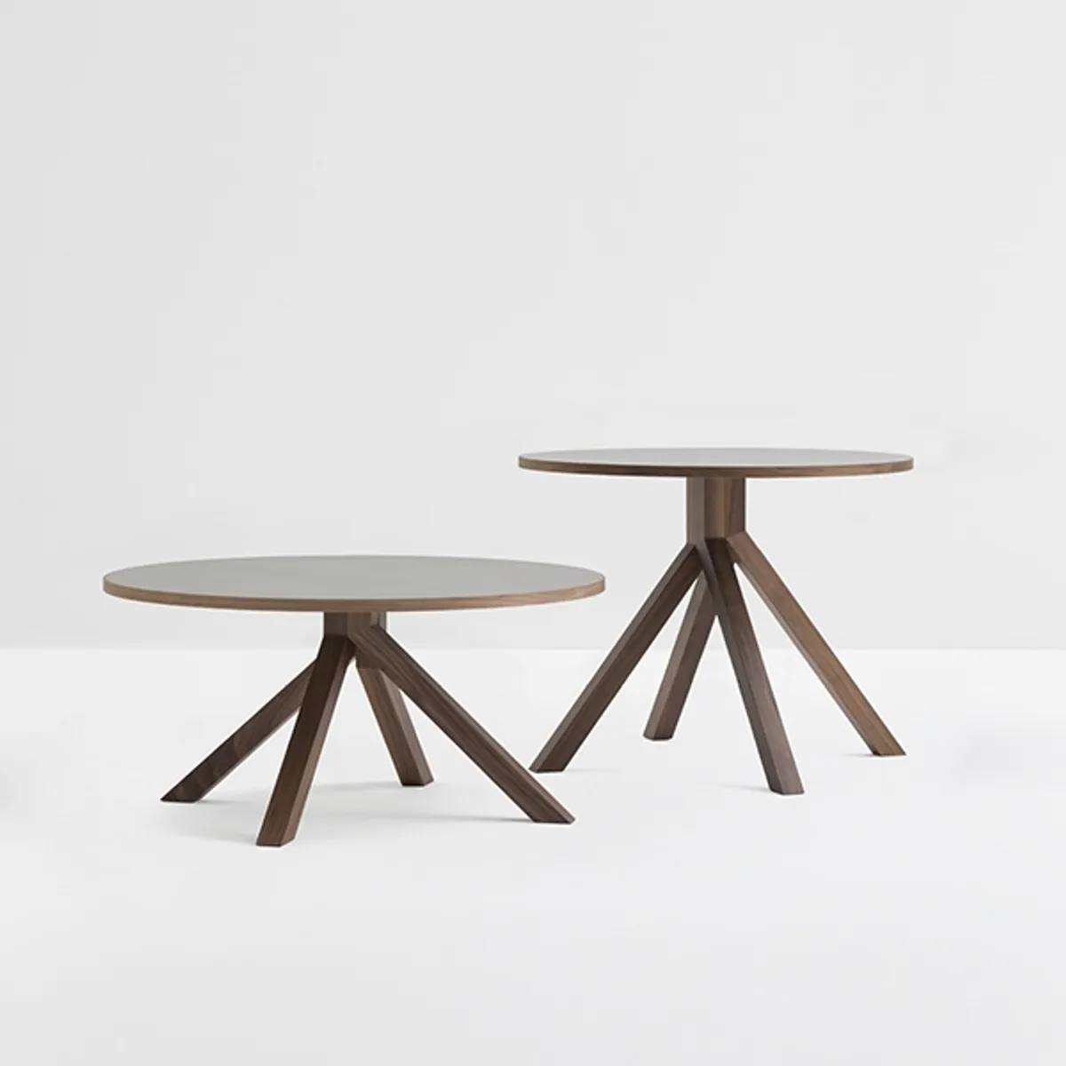 Web Linden Side Table Walnut 03