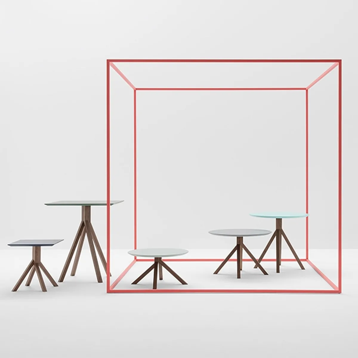 Web Linden Walnut Table Collection