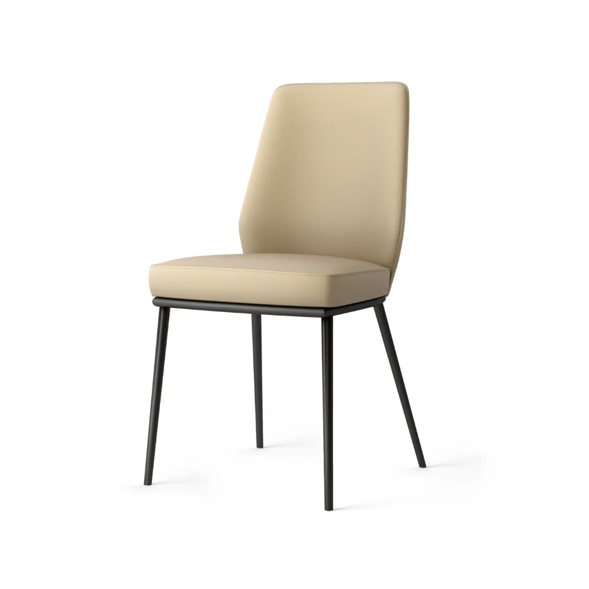 Zara side chair metal finish