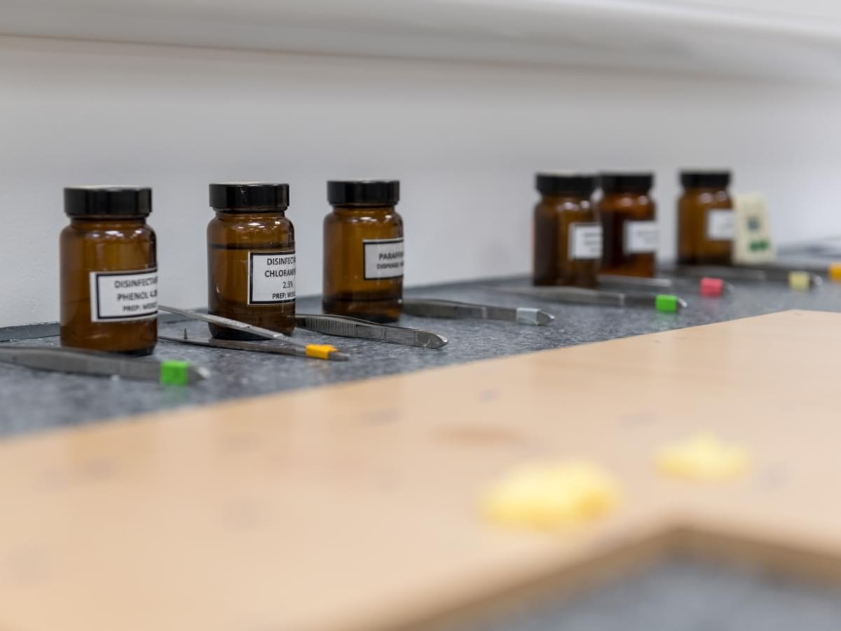 Kitchen testing from FIRA International 2
