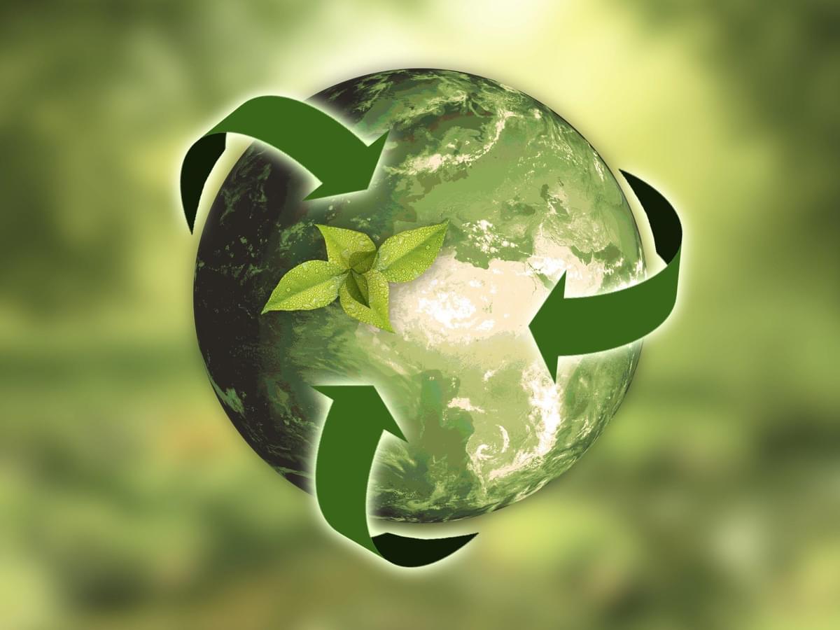 Sustainability training for the furniture industry with FIRA International