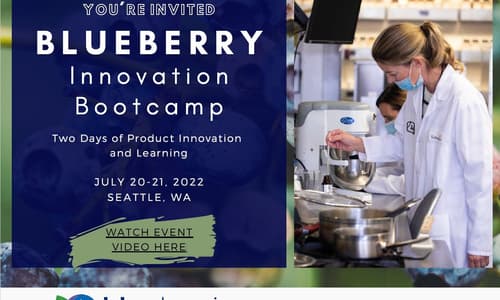 Blueberry Bootcamp invitation