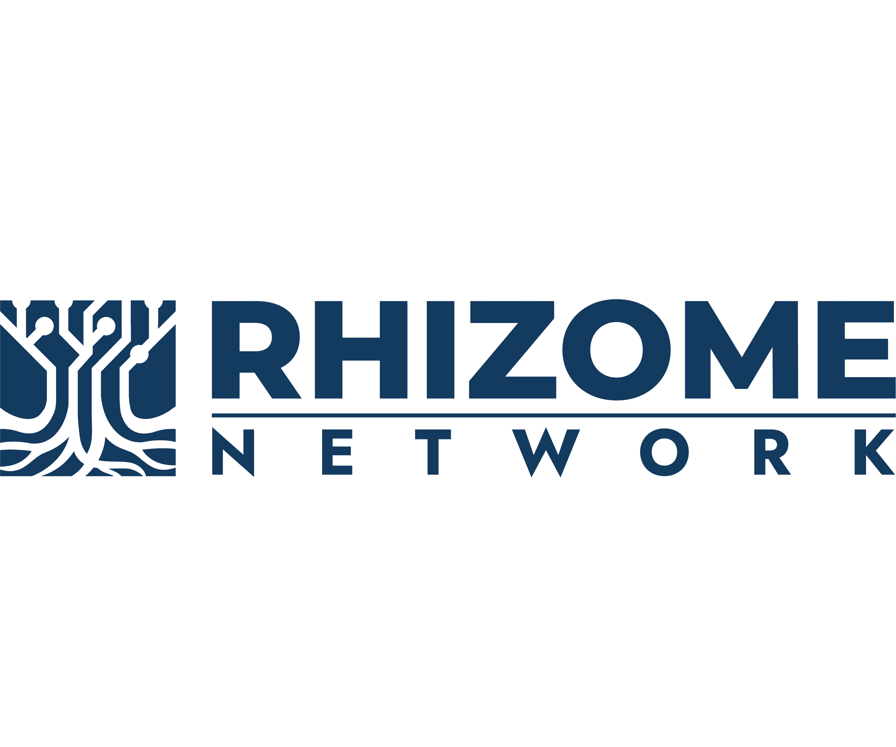 Rhizome Network