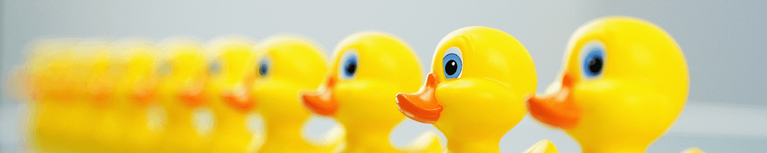 Ducks in a row w1400h500autocompress2 Cformatfitcropdm1737026501sb11180a718b24d7d1645fd7a95dc5c46