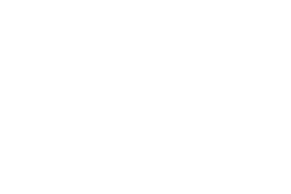 The District Detroit Accessibility Icon