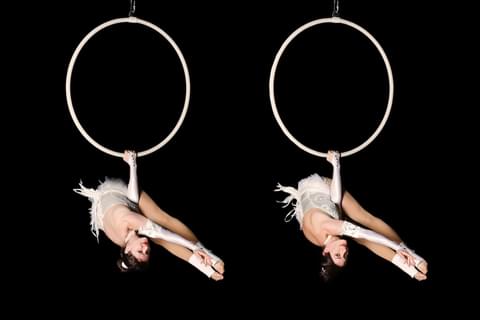 Aerial Hoops Circus Performers for hire Gecko Live Entertainment