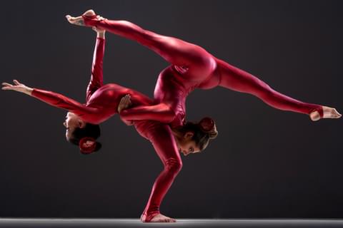 Contortionist Red Metallic Circus Performers for hire Gecko Live Entertainment