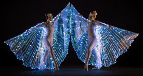 LED Ballerina Shows LED Shows Gecko Live Enteratainment