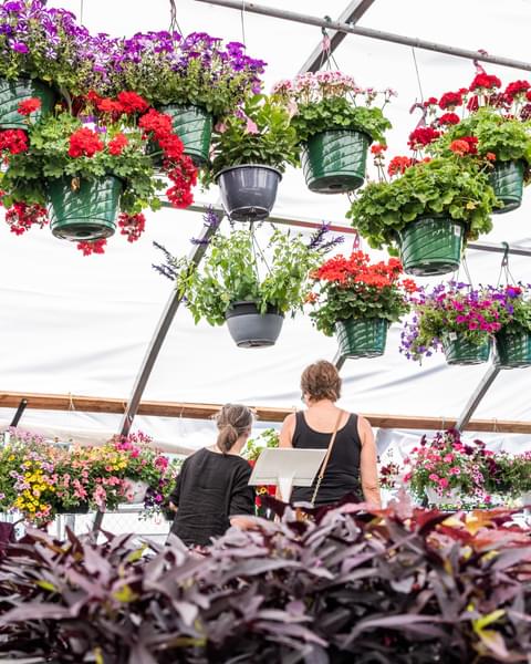 COMMUNITY Who We Are 1