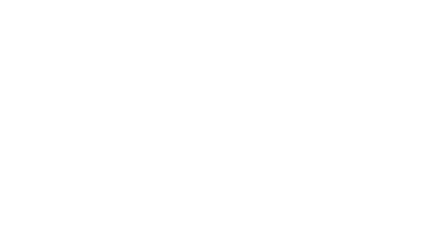 Millenium Falcon