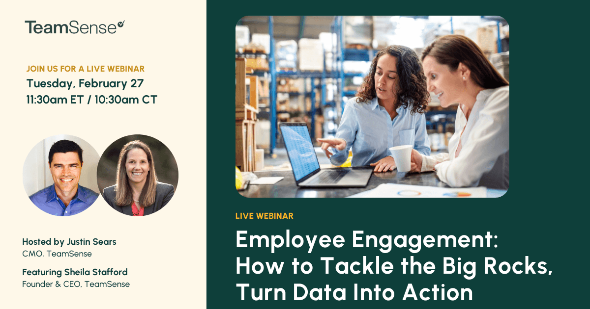 How to Tackle the Big Rocks and Turn Data into Action | TeamSense