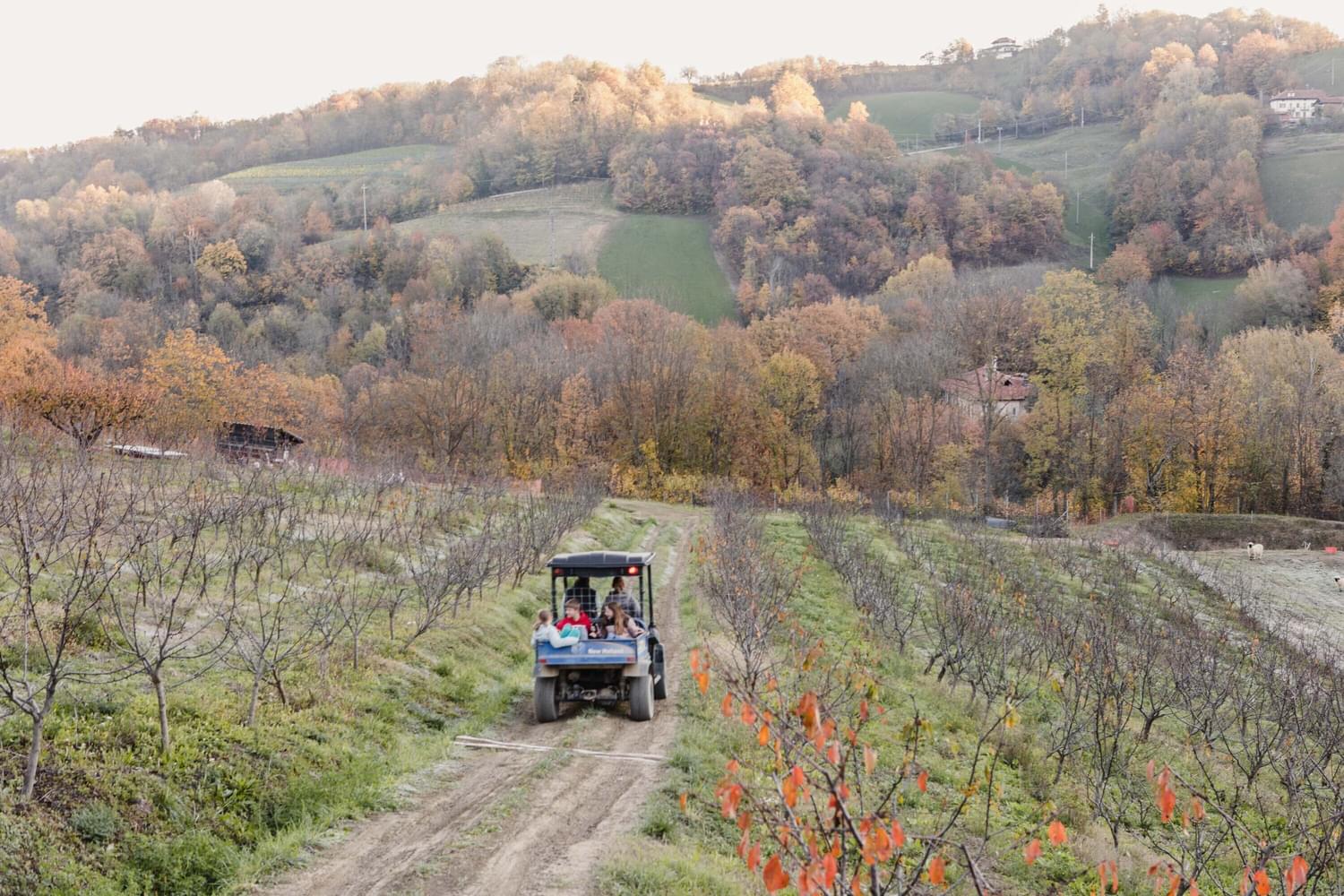 Farm 88 From Farm to Table: A Delicious and Sustainable Adventure at Amilu Farm ...